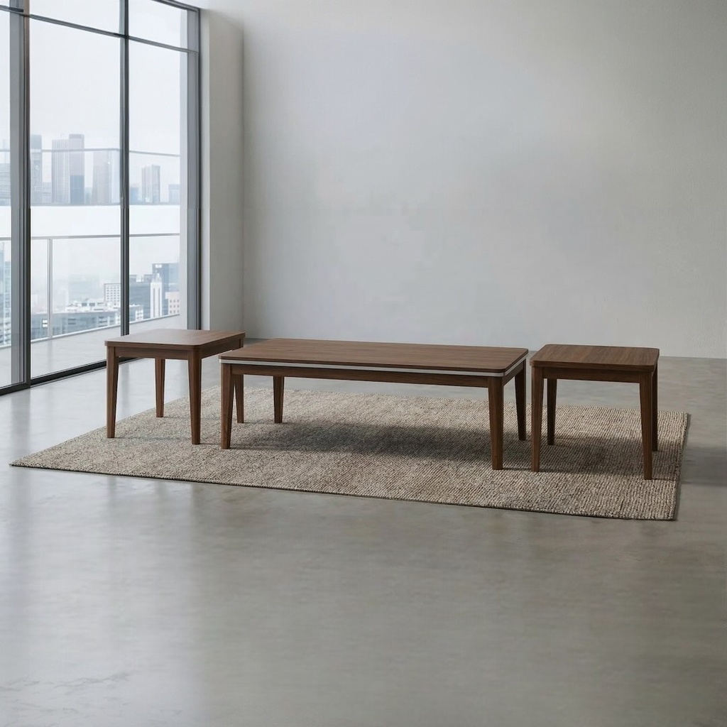 طقم طاولات DORA NEW (2+1)