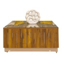 طاولة وسط مودرن NORMAL