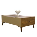 طاولة وسط مودرن MAIA 