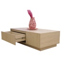 طاولة وسط مودرن READER 