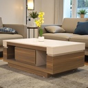 طاولة وسط مودرن LIO 