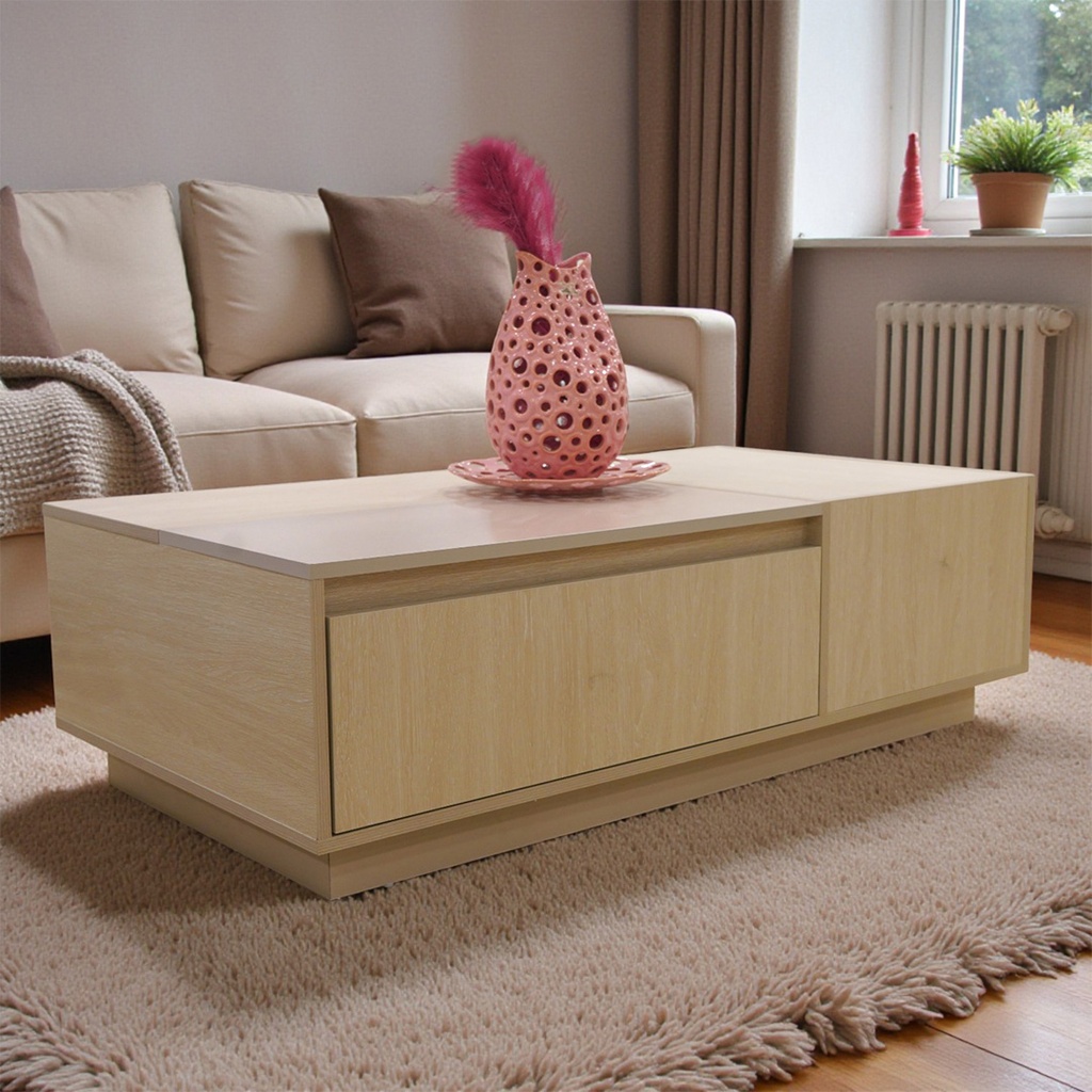 طاولة وسط مودرن READER 